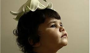 Graphic Designer Portfolios