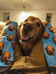 The most common pet face socks material is fleece. Customized Dog Socks Put Your Cute Dog On Custom Socks Dog Etsy