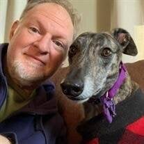 David Weiner Obituary (2025)