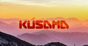 Kusama's coin tagline is expect chaos!. Here S Why Kusama Ksm Is Set To Change The Crypto Landscape