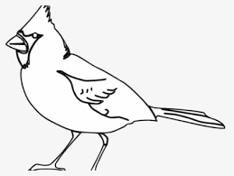 Select a size red cardinal bird clip art. Free Cardinal Black And White Clip Art With No Background Clipartkey