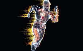 Metabolismo energetico: cos'è, come funziona e a cosa serve