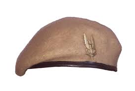 15 46 Aud Reproduction Sas Special Air Service Sand Beret Metal Cap Badge All Sizes Ebay Fashion Special Air Service Metal Beret