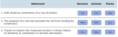 Cell division in plants occurs in regions called meristems. Lecture 31 Post Class Questions Adaptive Follow Up Flashcards Quizlet