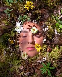 The Tribune Vol. 43 Issue 24 by The Tribune