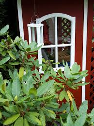 Altes fenster als deko für garten, terrasse,. Holzfenster Das Landhus Wohnen Garten