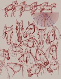 Pin By Jorge J On Horse S Animal Drawings Horse Drawings Drawings