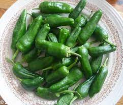 Wie wird wein richtig gepflanzt? Pimentos De Padron Chili Scharf Chili Paprika Samen Irinas Tomaten