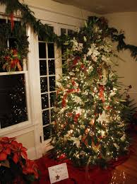 Maybe you would like to learn more about one of these? Charlotte Florist Dazzles Christmas Parties With Fresh Flowers