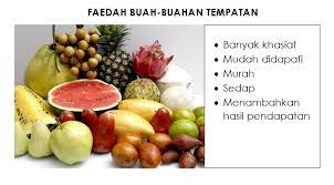 Gambar mewarna buah buahan tempatan bermanfaat buku mewarna buah. Kelebihan Buah Buahan Tempatan Karangan