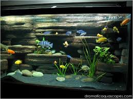 Diy Aquarium Background Rock Ledges Aquarium Backgrounds Aquarium Cichlid Aquarium