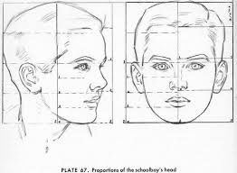 1024x768 sketch face tutorial human face drawing for beginner. Proportions Of A Boy S Head By Andrew Loomis Andrew Loomis Drawings Drawing The Human Head