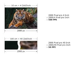 Mit diesen formeln kann man die länge, pixel und dpi / ppi umrechnen und konvertieren (25.4 mm = 1 in): Lightroom Tiger Tipp 14 Alles Uber Auflosung Komplett Eye Of The Tiger