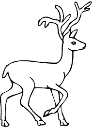 Coloring Page Of A Deer Coloring Page Of A Deer Deer Coloring Pages Animal Coloring Pages Animal Coloring Books