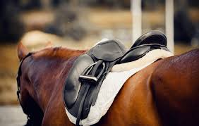 Horse back treatment