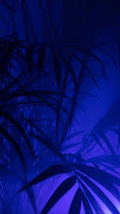 Pin By Sergey Rogovoy On Hd Mobile Wallpapers Blue Aesthetic Dark Blue Aesthetic Blue Wallpaper Iphone