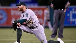 Image result for anglický setr lawerak