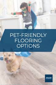 Best Flooring For Pets Pet Friendly Flooring Options Pet Friendly Flooring Best Flooring Flooring