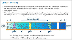 Solved Exhibit 5A The Following Diagram Shows The Anode, | Chegg.Com