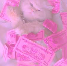 Discover and share the best gifs on tenor. Pink Money Cat Bad Girl Wallpaper Pink Aesthetic Aesthetic Iphone Wallpaper