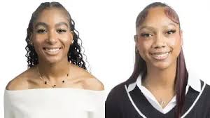 Drake Sisti earns $56,800 at Illinois Department of Healthcare and Family  Services in 2019