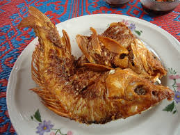 Dalam budidaya pembenihan, ikan mas bisa dipijahkan sepanjang tahun tidak mengenal musim. Ikan Mas Goreng Mapio Net