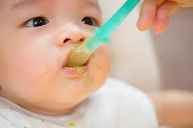 Menu Diario Para Bebes De 6 A 9 Meses Pequerecetas