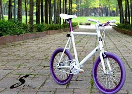 Check spelling or type a new query. Sepeda Fixie Mini 20 Inci Dengan Ban Ungu Buy Sepeda Mini Ungu Ban Sepeda Sepeda Fixie Product On Alibaba Com
