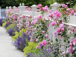 Abdeckung Fur Den Zaun Wande Mit Strauchern Kletterpflanzen Garten Rosen Beet Und Garten Ideen