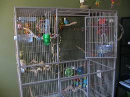 Contemporary design led habitat in a choice of colours and stands. Budgie Cages How To Set Up Your Parakeet S Cage With Toys And Perches Discount Parrot Supplies