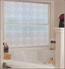 Glass Block Etched Privacy