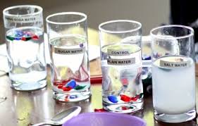 It's full of ocean activities for preschoolers, including printable ocean theme lesson. 25 Ocean Activities Experiments And Crafts For Kids To Dive Into