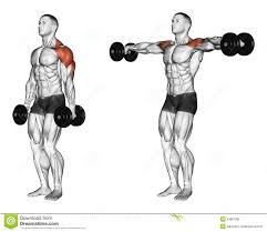 Pin On Exercise