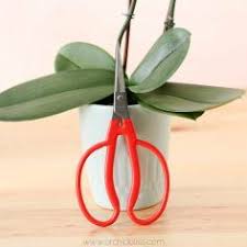 Pin On Projects To Try