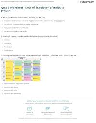 For the following examples, give the appropriate sequenceof dna, mrna, trna and/or polypeptide bioknowledgy 2 7 dna replication transcription and translation from transcription and translation worksheet answers, source: Quiz Worksheet Steps Of Translation Of Mrna To Protein Study Com