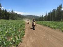 2026 Ride Reno 200