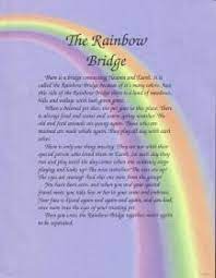 There is a bridge connecting heaven and earth. Free Printable Rainbow Bridge Poem Printable Novocom Top