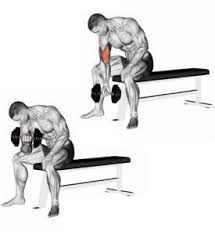 Im gegensatz zu den bizeps curls werden bei dieser übung die hanteln im neutralen griff gehalten, wobei neben dem bizeps auch die armbeuger und der oberarmspeichenmuskel mittrainiert werden. Die Besten Hantelubungen Fur Optimalen Muskelaufbau Hantel Ubungen Bizeps Hanteltraining