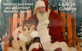 Cuddles spreading holiday cheer