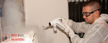 Prime pest control have developed a team of bed bug specialists that would be able to get rid of these pesky pests quickly and effectively. Bed Bug Steam Treatment Bed Bug Pest Control Company In London Providing Guaranteed Bed Bug Treatment And Extermination Solutions