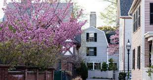 Every day in america, each man, woman and child generates nearly four pounds of trash. 27 Flowering Trees For Massachusetts Yards Progardentips