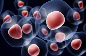 Check spelling or type a new query. 100 Soal Biologi Tentang Sel Kelas 11 Dan Jawabannya Judul Siswa