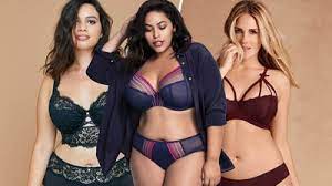Other animals, such as snakes and rats, find cool places to sleep during the day and come out only at night. 44 Best Plus Size Bras For Comfort And Support In 2019 Allure
