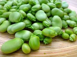 Favabeans are also called fava beans are a preferred host of black aphids and may serve as a bridging host for virus. Growing Harvesting And Shelling Fava Beans Garden Betty