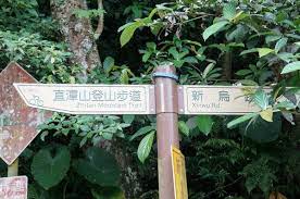 新店景點推薦 直潭山登山步道 油桐花秘境 花園新城後山 跟著領隊sky玩 一日遊 美食 親子 景點 住宿 mountain trails outdoor decor outdoor