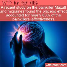 Wtf Fun Fact Placebo Painkiller Wtf Fun Facts Funny Fun Facts Wtf Fun Facts
