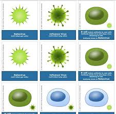 Fighting Infection Card Game Card Games Viral Infection Infections