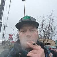 TOXIC WINGS & FRIES, Eugene