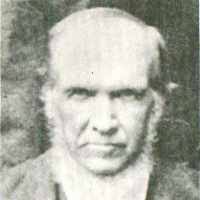 David Adamson (1825–1900)