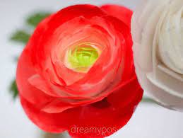 Diy Paper Ranunculus Flower Free Template And Video Tutorial In 2020 Fabric Flowers Diy Templates Printable Free Flower Template